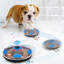 Jouets interactifs pour chien-115283990
