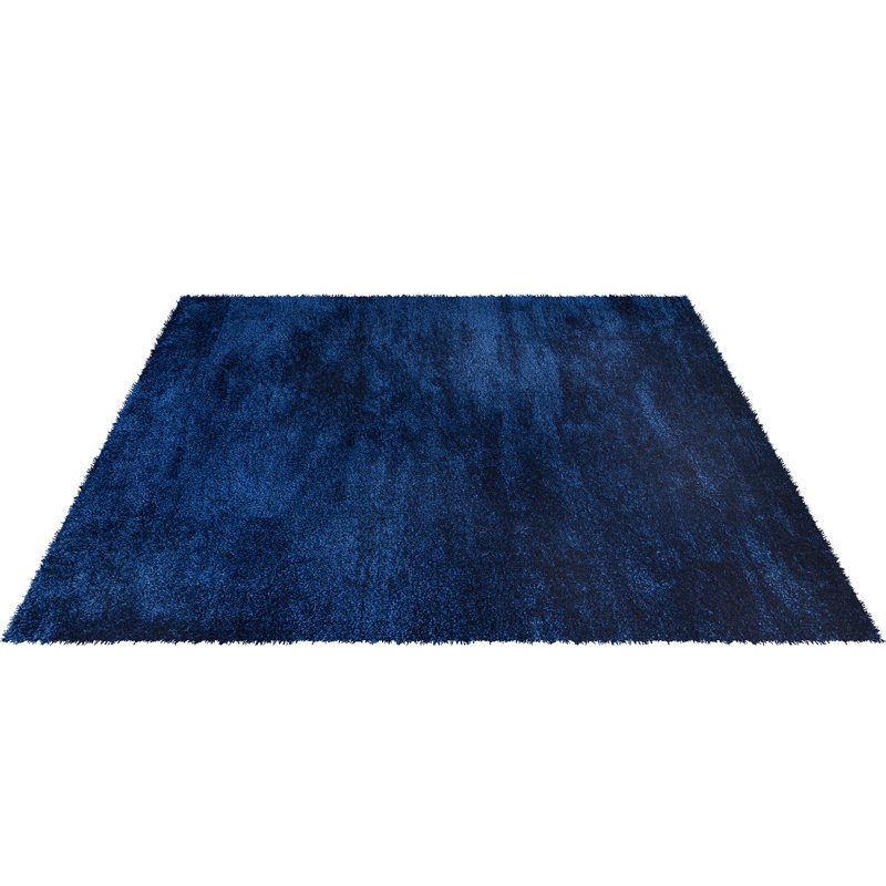 Cataliyah Shag Indoor / Outdoor Area Rug, Runner 60 x 220 cm