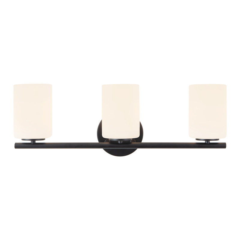 Ezra 22-in Black dimmable Bathroom Vanity Light