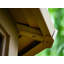 Gazebo Penguin Florence Solarium 12 Pi x 12 Pi Toit De Polycarbonate En Sable-17534884-90546244