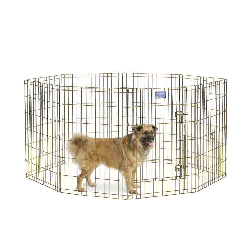 36" Gold Zinc Metal Pet Exercise Pen with Door