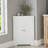 Floor Corner Cabinet With 2 Doors And Adjustable Shelves
