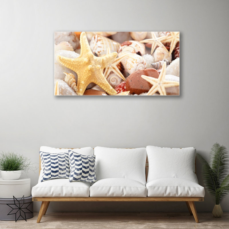Glass Print Wall Art 100X50cm Image Printed On Glass Decorative Wall Picture Behind Toughened / Tempered Safety Real Glass For Kitchen & Living Room Theme: Seastar Shells Art
