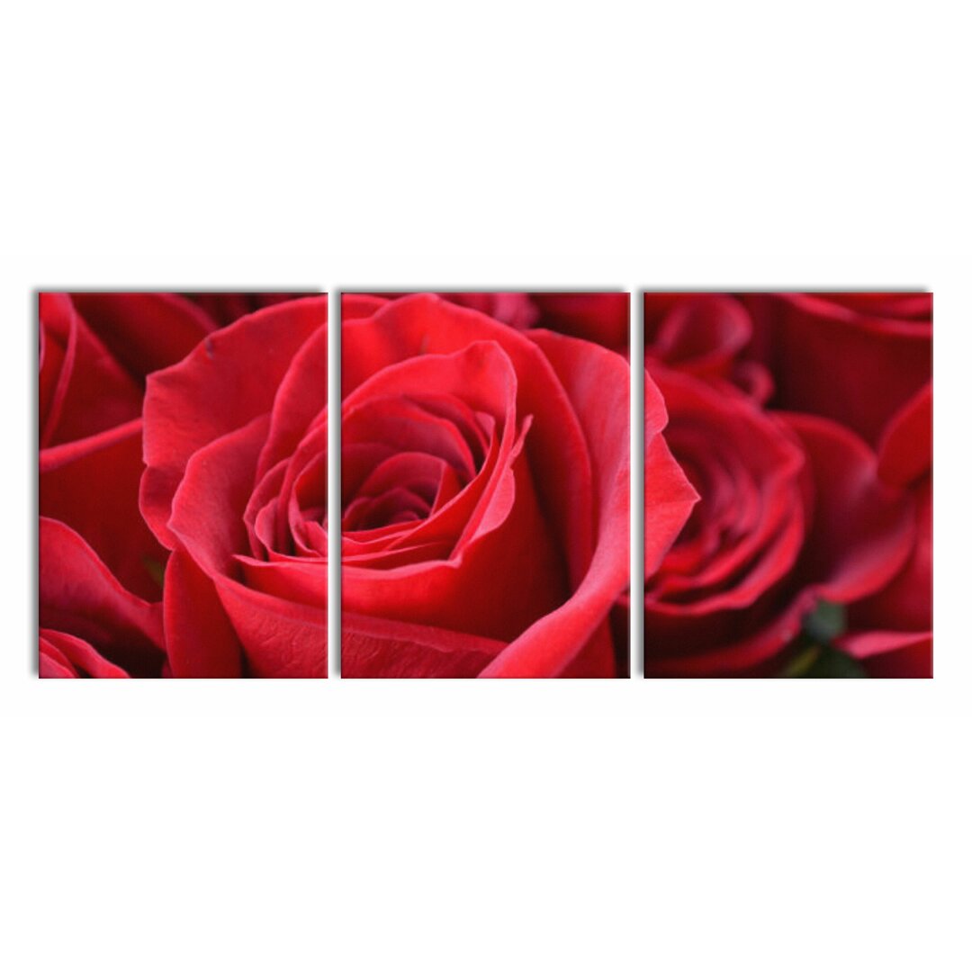 3-tlg. Leinwandbilder-Set Romantic Roses