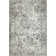 Raashid Oriental Indoor Rug