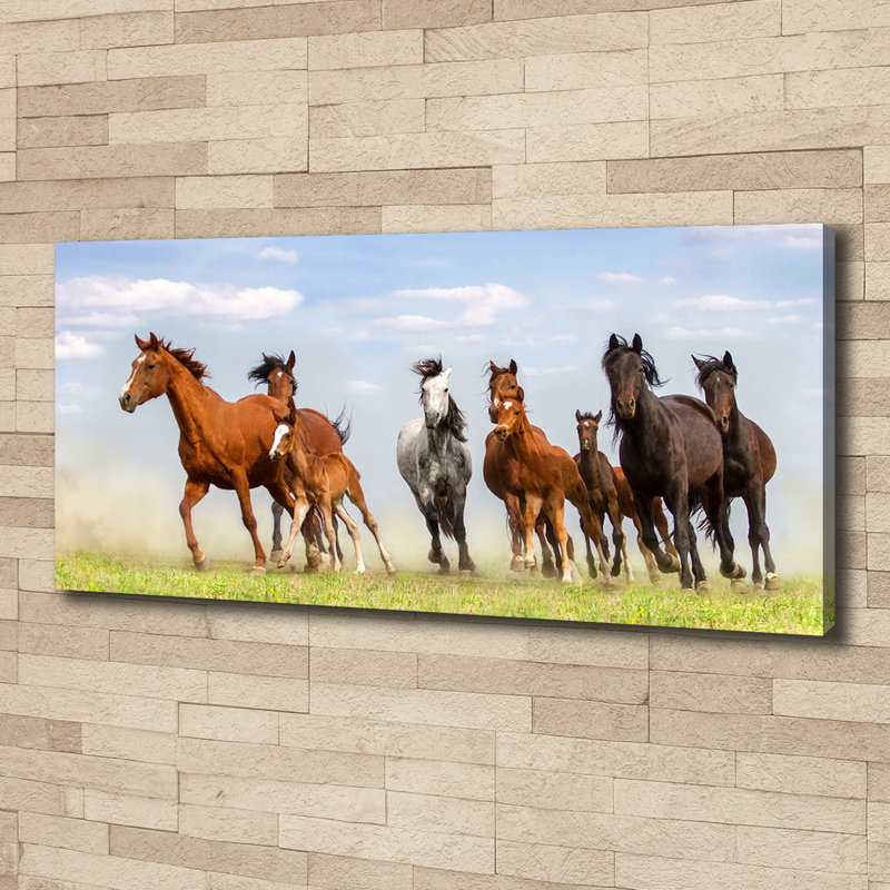 Horses In A Gallop - No Frame Print on Canvas