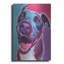 «Pit Bull - Candy» par Dawg Painter-400173544