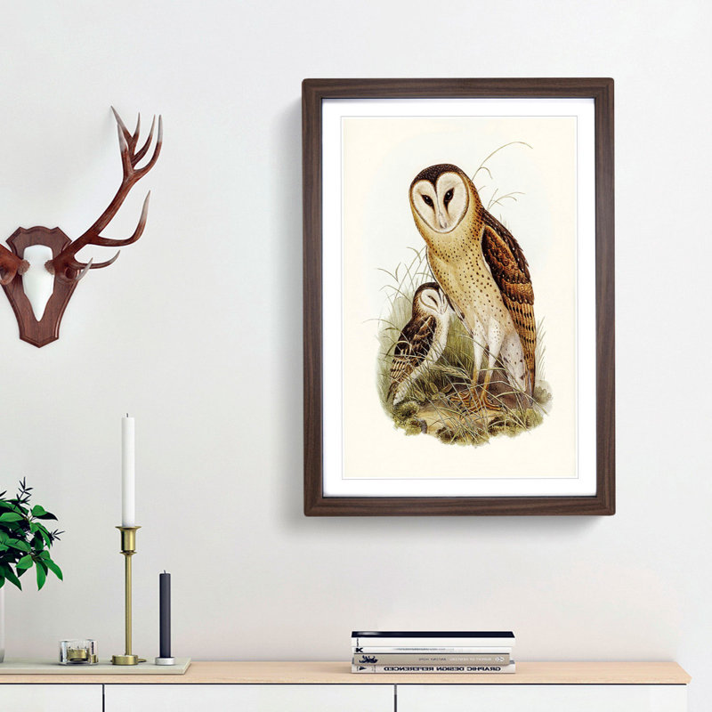 Grass-Owls by Elizabeth Gould - Picture Frame Art Print, 36cm H x 27cm W x 2cm D, Walnut Framed