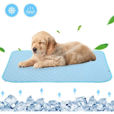 Tapis Amarillys