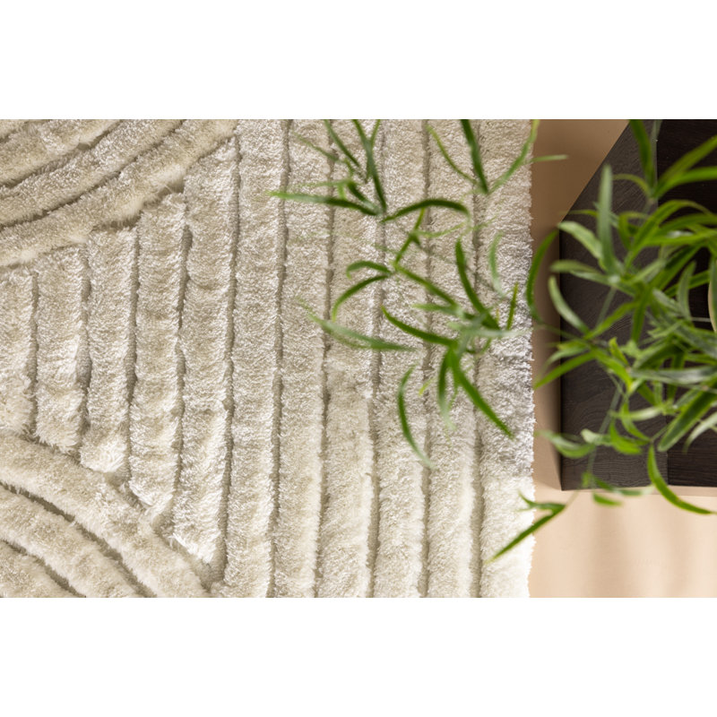 Cankton 200cm X 290cm Area Rug, Beige