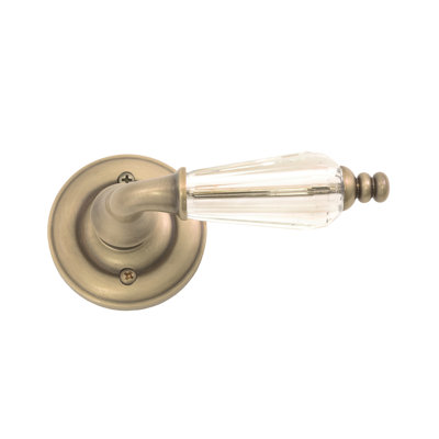 Levier de porte avec rosette Netropol