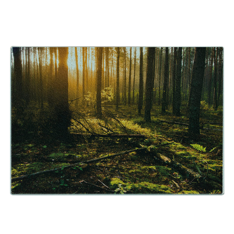 Planche à découper en verre trempé Ambesonne Forest Misty Morning Sun Rays Brown Fern Green