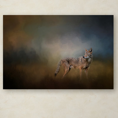 Vidur 'Coyote at Shiloh' Graphic Art Print on Wrapped Canvas