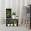Abedraouf Solid Wood Decorative Bin