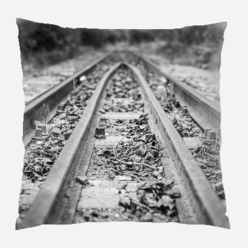 Microsuede Reversible Throw Pillow