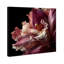 Velvet Labellum Print by Oliver Gal-819406449-819406454