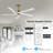 Krishona 54'' Ceiling Fan with LED Lights-702115149
