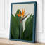 Bird of Paradise Bloom Botanical - Wrapped Canvas-166246951-166246959