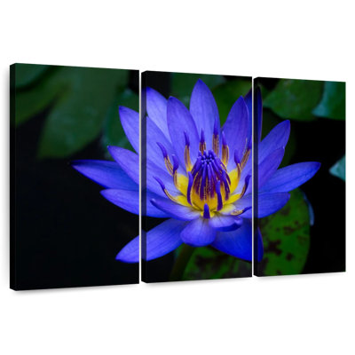 Harnek Blue Lotus Flower