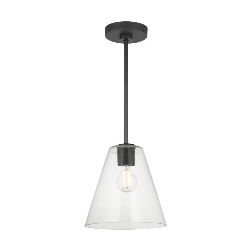 Luminaire suspendu à une lumière Hayden, Clair, Nuit noire