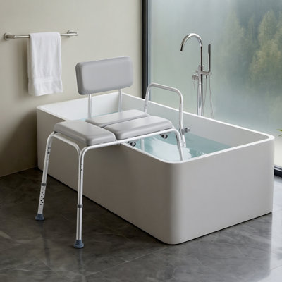 Bathroom Transfer System