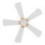 Ventilateur de plafond standard à DEL à 5 pales de 52 po avec télécommande et ensemble d'éclairage inclus.-41150283