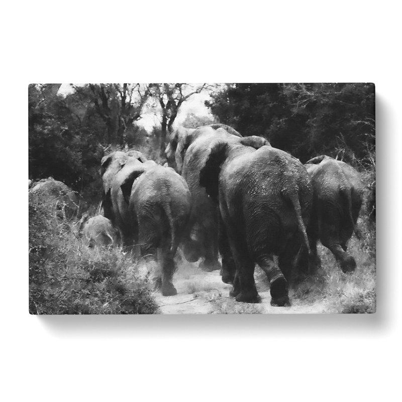 Herd Of Elephants - Wrapped Canvas, 40cm H x 60cm W x 3cm D