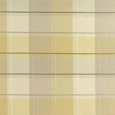 Coin Silk Plaid Fabric