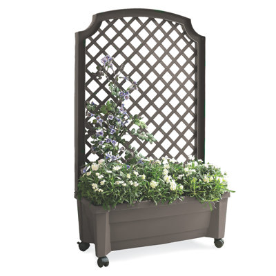 Boîte à fleurs tout-en-un avec treillis