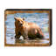 Bloc de bois ours Schlegel-1665569438