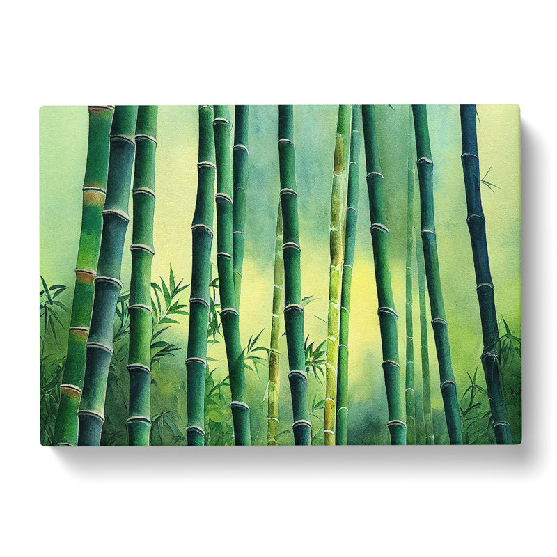 Bamboo Forest Scene - Wrapped Canvas, 35cm H x 50cm W x 3cm D