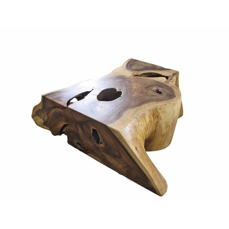 Table basse Nature