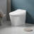 Remote Control Toilet Cover Heated Toilet Seat