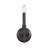 Gardner 1-Light Wall Sconce in Champagne Mist