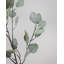 Faux Eucalyptus Branch