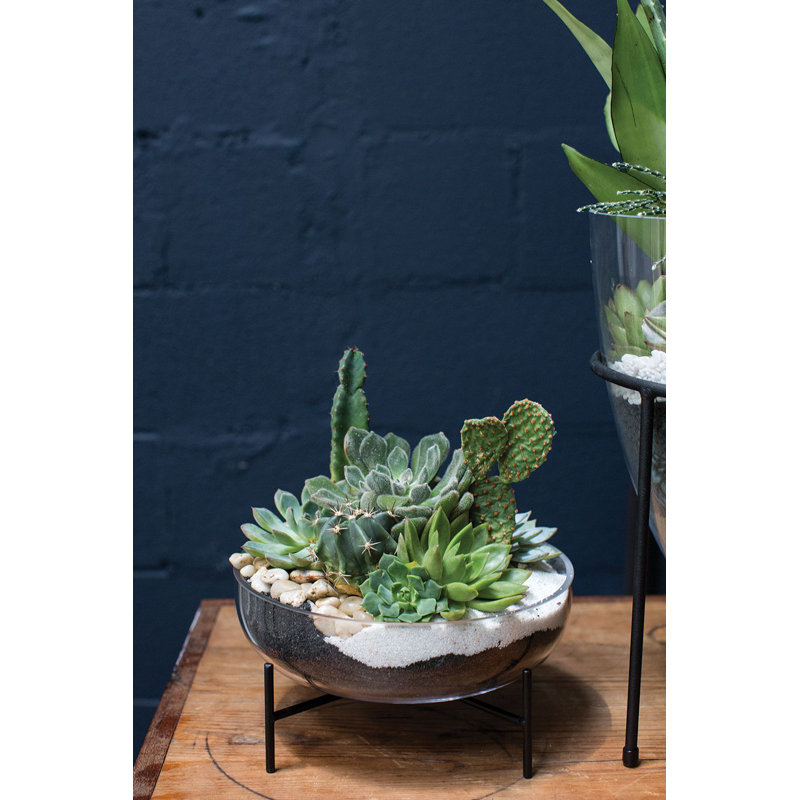 Hendrelino Handmade Glass Pot Planter, 4.75" H x 10" W x 10" D