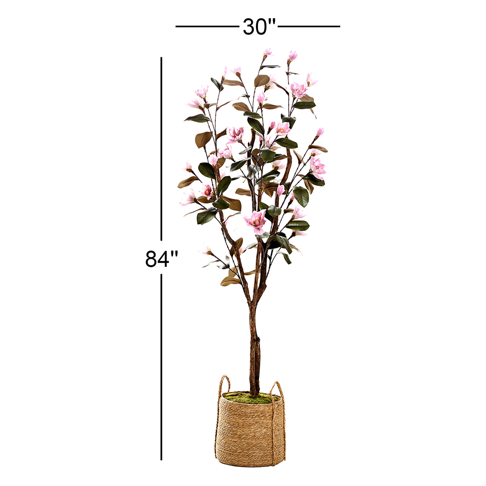 84" Magnolia Tree in Basket