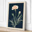 Classical Carnation Study Botanical - Wrapped Canvas-839063116-839063119