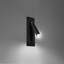 Almatine Flush Mounted Sconce