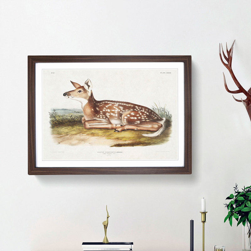 American Deer by J.W. Audubon - Single Picture Frame Painting, 24cm H x 33cm W x 2cm D, Walnut Framed