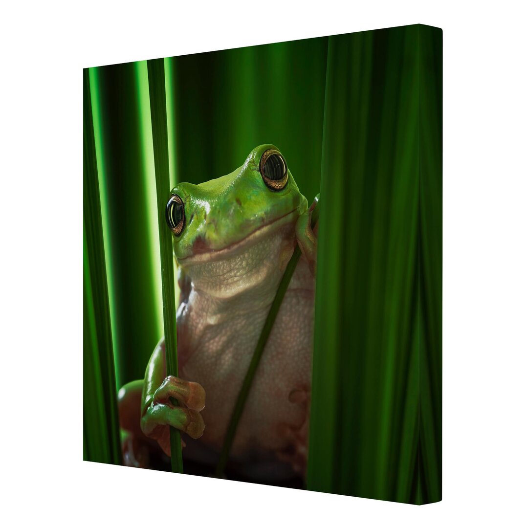 Leinwandbild Fröhlicher Frosch