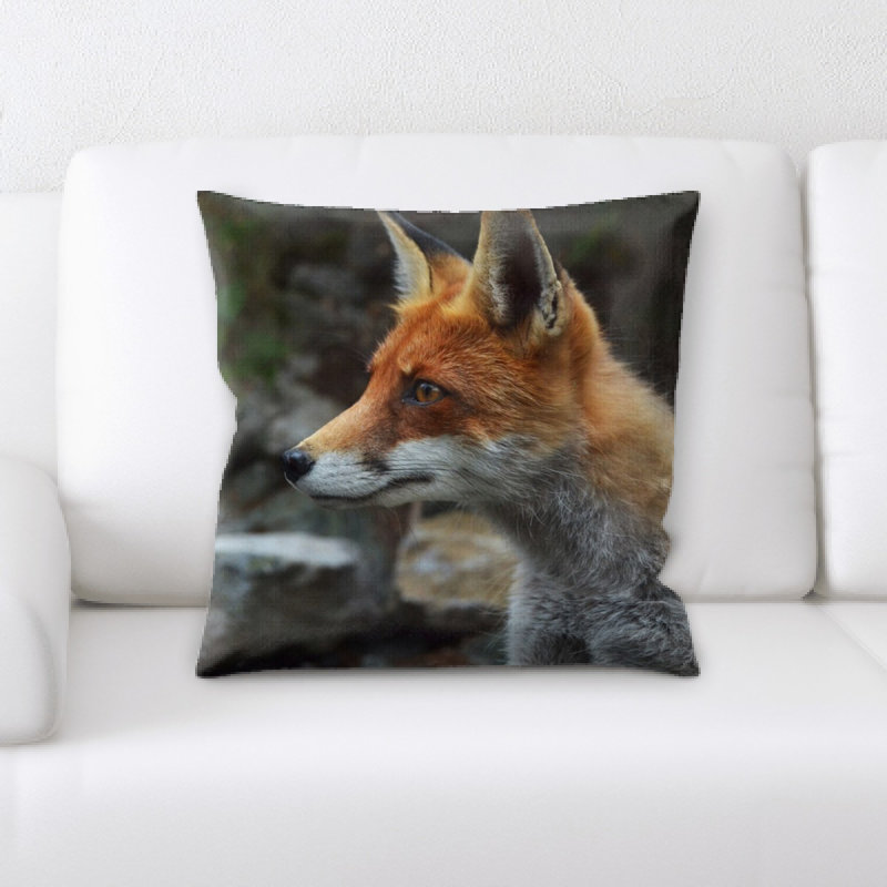 Coussin de fox