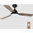Lallu 44'' Ceiling Fan with LED Lights