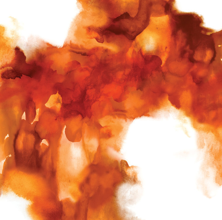 «In the Midst II», reproduction d'art sur toile tendue, H 37 po x l 37 po x P 1,5 po