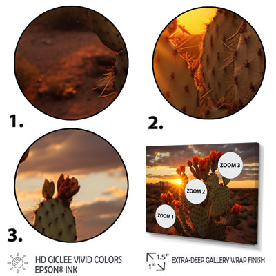 Champ de cactus rouge et vert avec coucher de soleil III - impression