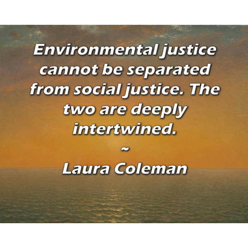 Toile tendue de la galerie ArtsyQuotes par Laura Coleman: «La justice environnementale ne peut être séparée de la justice sociale. Les deux sont profondément liés.»