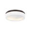Issen 2 - Light Flush Mount-1298884572