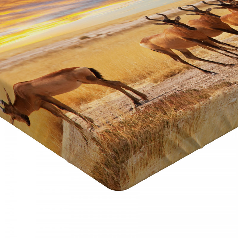Drap-housse Safari, Drap-housse simple TG