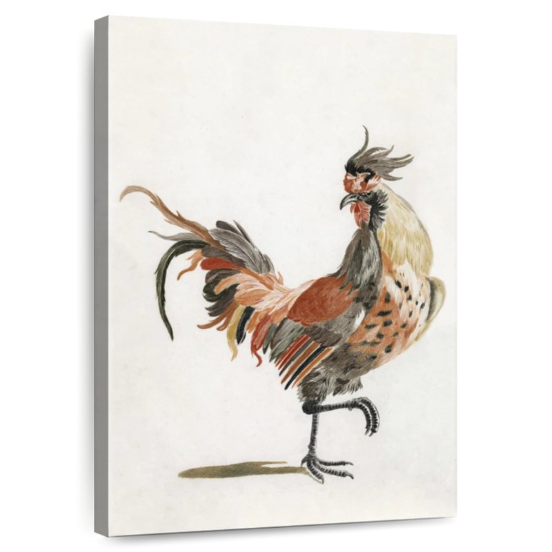 A Cock, 30" H x 20" W