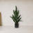 Sansevieria Artificial Plant